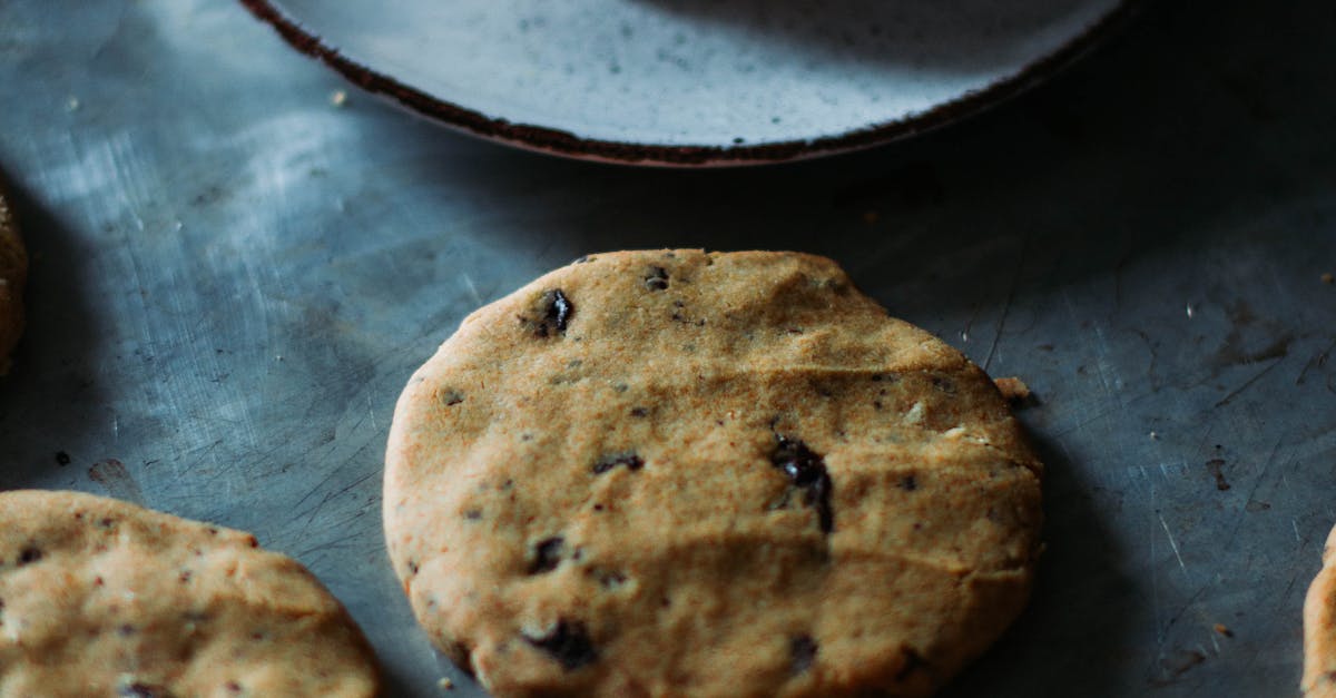Chocolate Chip Cookie Dunkers: The Perfect Milk-Soaking Treat