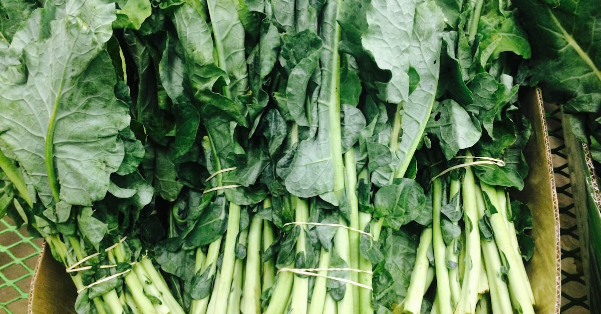 May Favorites: Fresh and Flavorful Recipes to Brighten Your Month