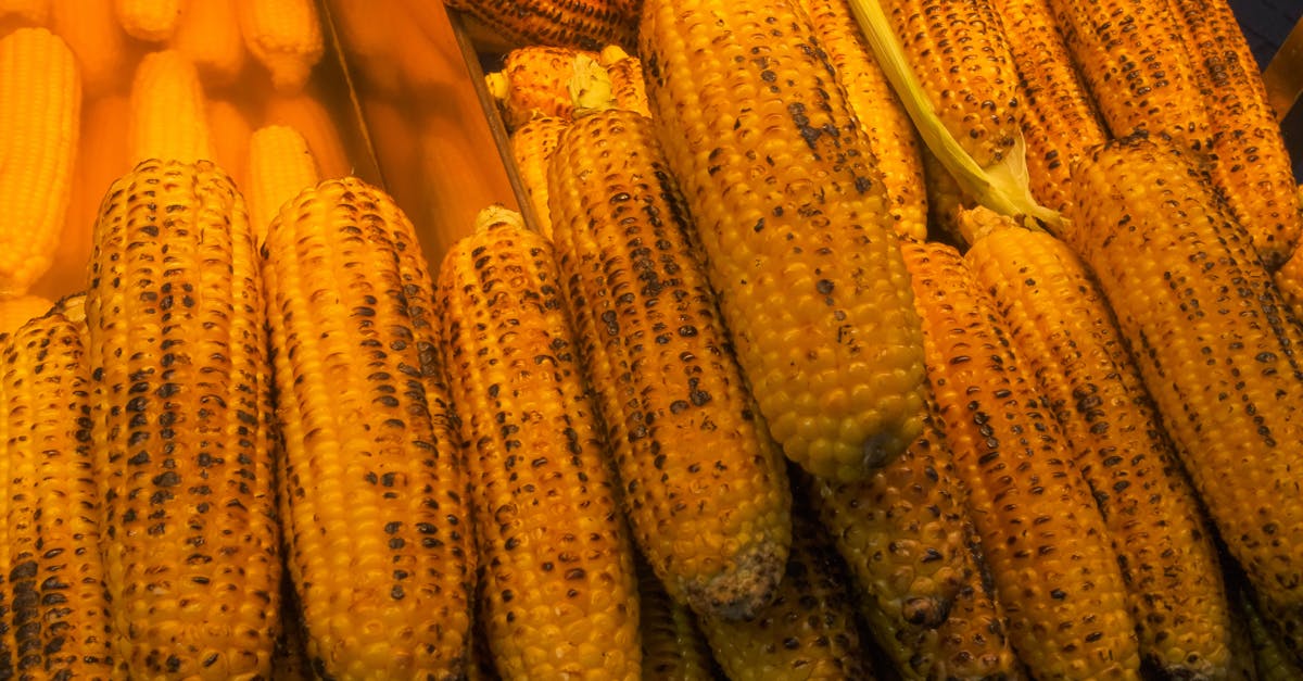 Corn Casserole: A Thanksgiving Classic, Reimagined